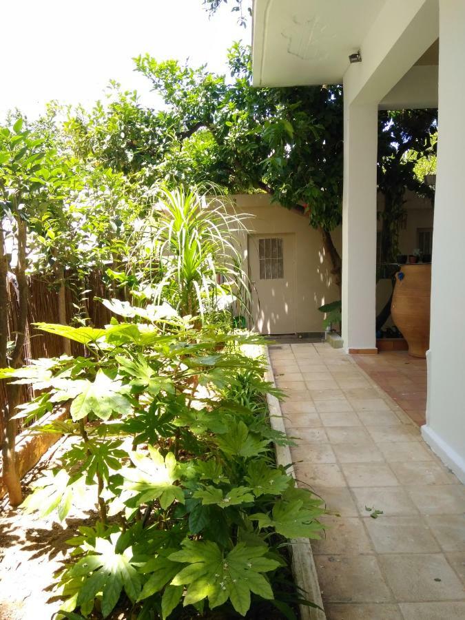 Zacharoula'S Home Chania  Екстер'єр фото